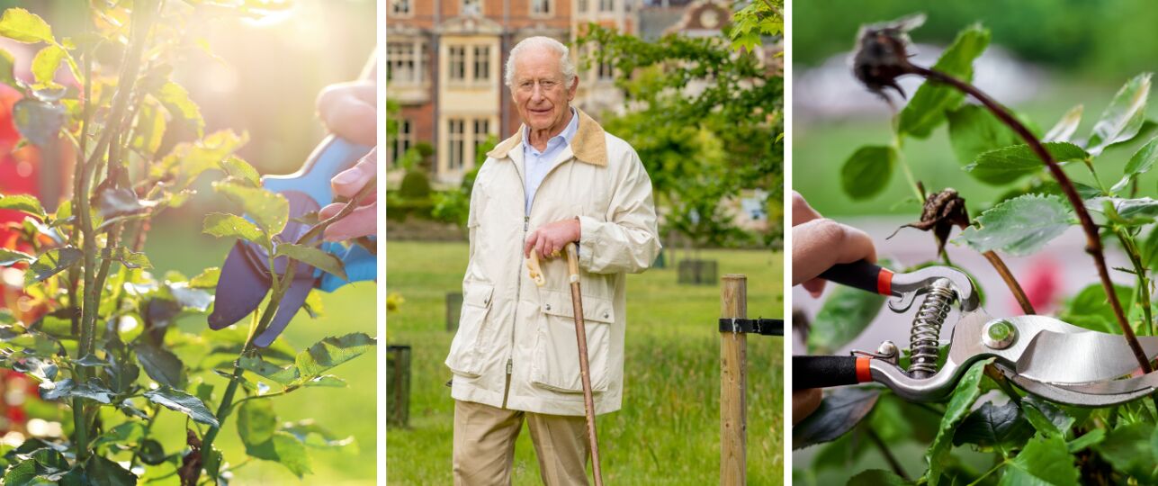 snoeien koing Charles