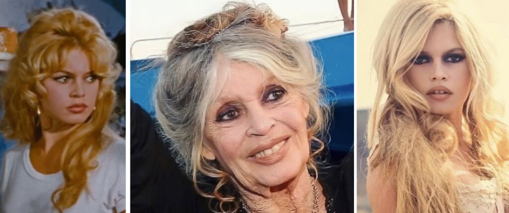 Huidige afbeelding: Brigitte Bardot