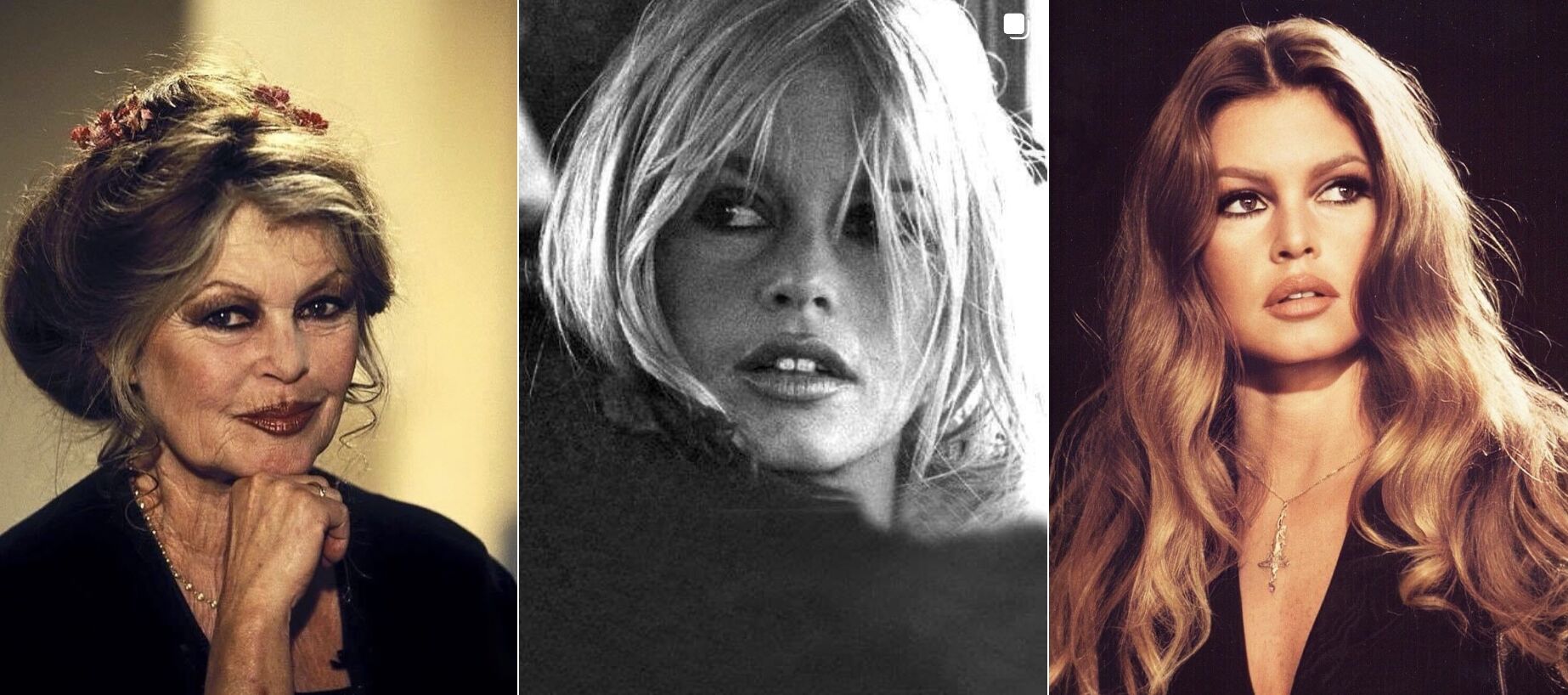 Brigitte Bardot uitvaart