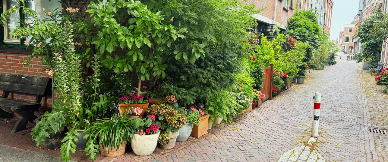 vergroenen voor te weinig groen