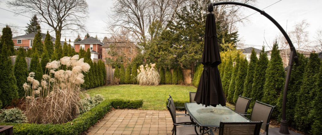 Huidige afbeelding: Gazon winter