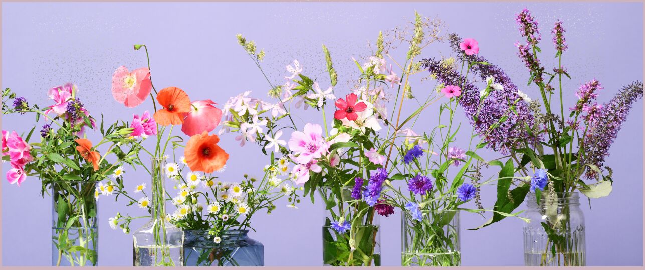 hebben bloemen echt bloemenvoeding nodig