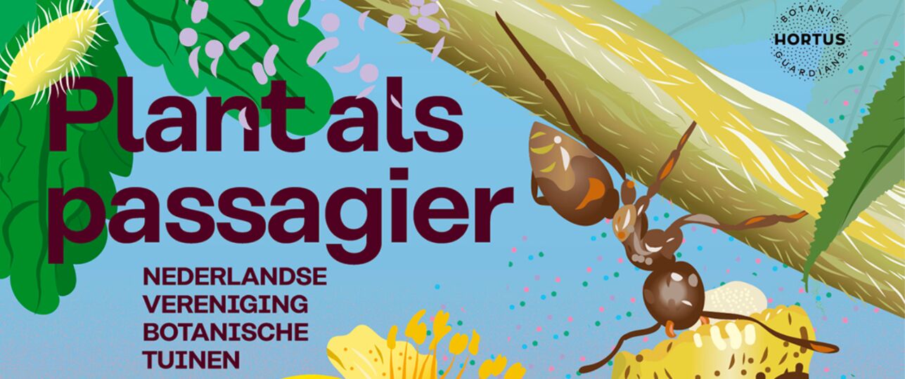 Plant als passagier, planten die reizen hortus botanicus