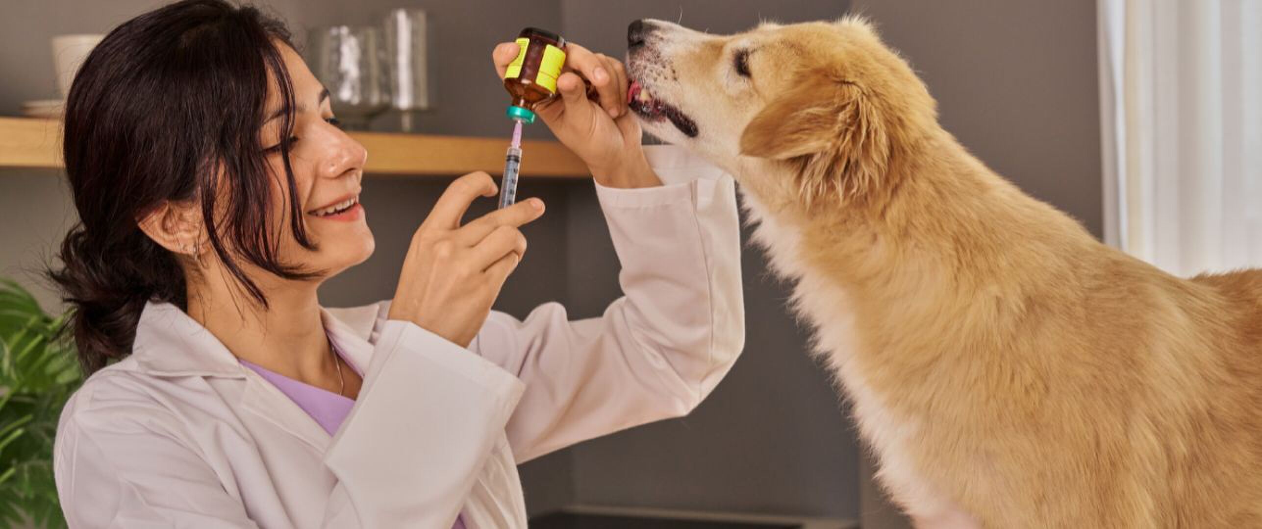 Denk jij dat je hond of kat goed beschermd is? De meeste eigenaren hebben het mis