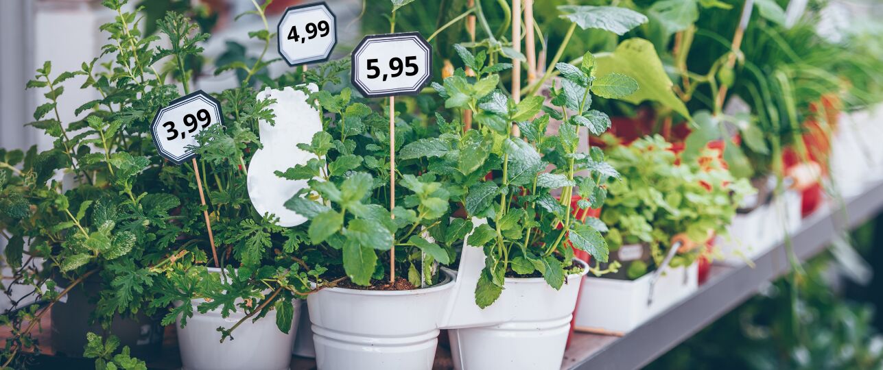 kruiden en groente duur