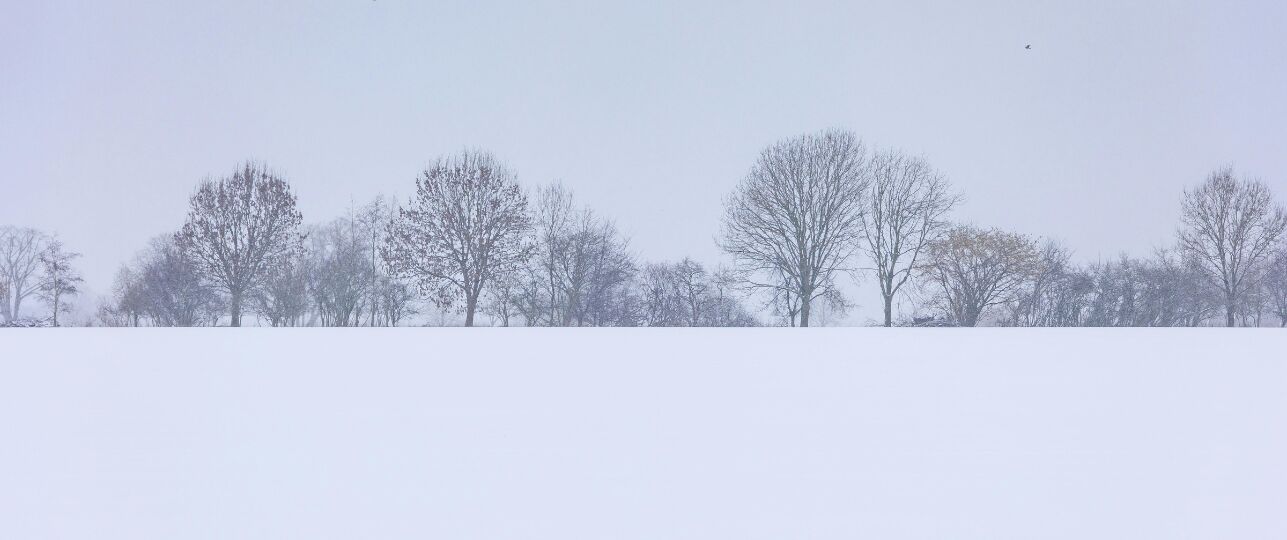 Nederlandse winter verdwijnt