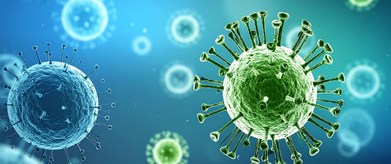 Zwezerik basis voor afweersysteem