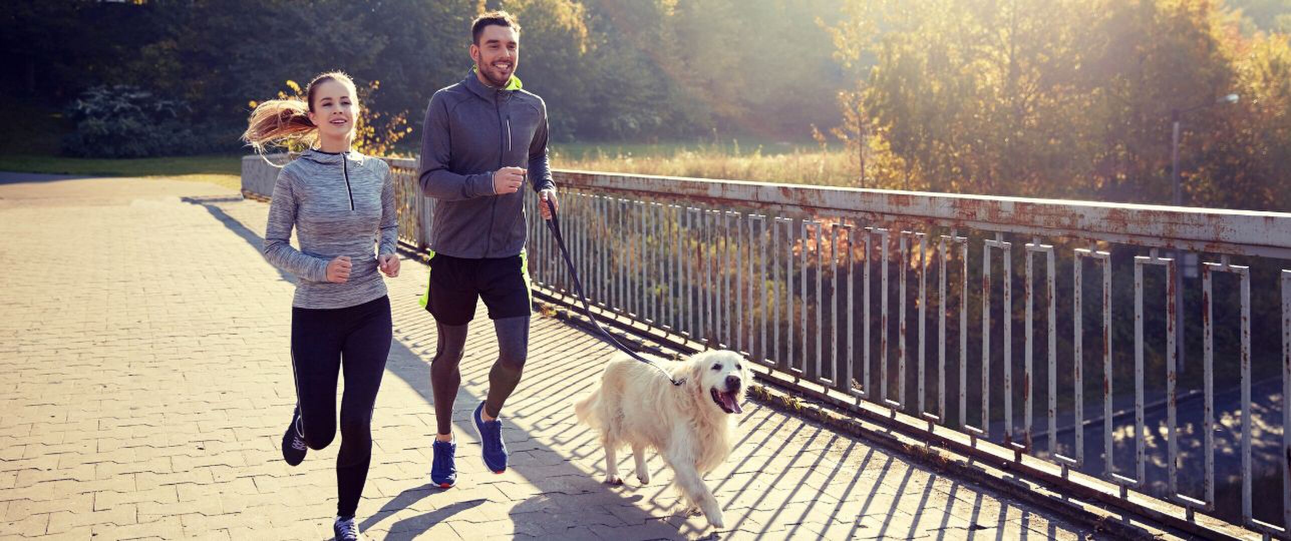 sporten met je hond