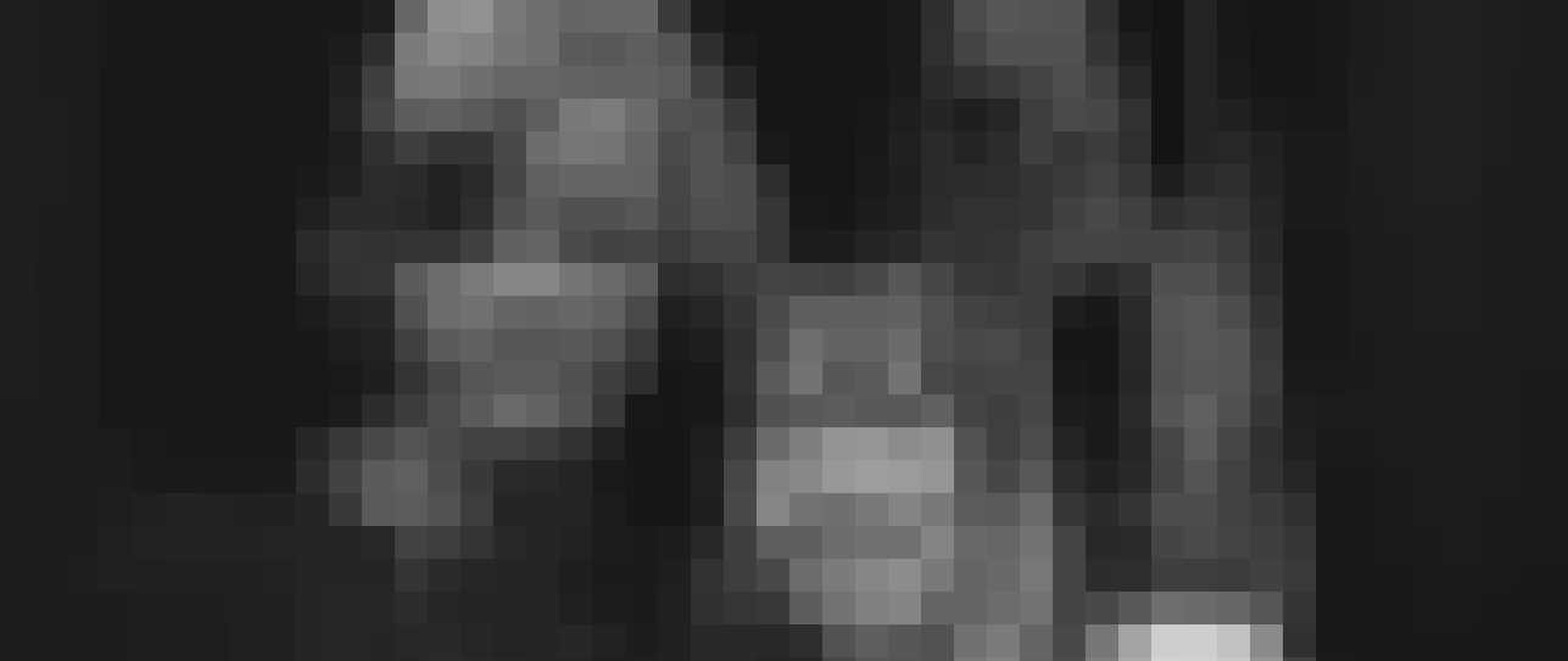 Bekende Nederlanders