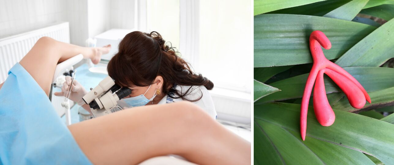 clitoris beter in beeld doo de wetenschap