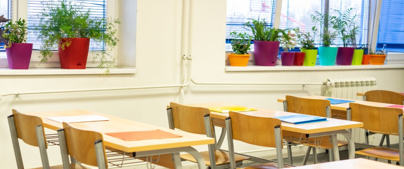 planten examens