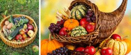 seizoensgroenten november