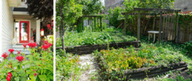 tuin tijdens zomervakantie