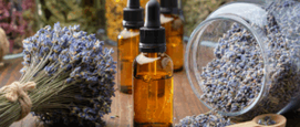 lavendel uitgebloeid