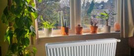 Planten en verwarming
