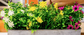 kunstplanten voor buiten