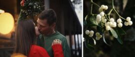 mistletoe maretak