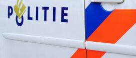 Geweldsgebruik door de politie stabiliseert: een blik op de cijfers