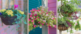 Hanging basket,