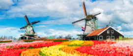 Nationale Molendagen
