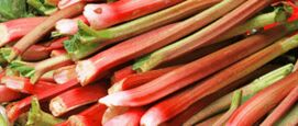 rabarber
