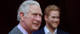 geheim gesprek prins Harry en koning Charles gelekt