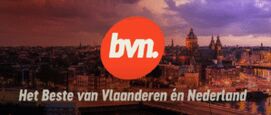 BVN TV stopt met NL tv in het buitenland