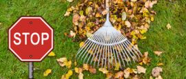 stoppen met bladeren harken