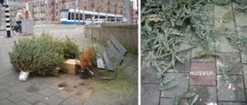 Kerstboom niet in kliko gooien