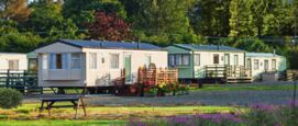 Vakantieparken Veluwe
