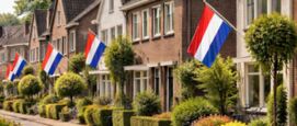 Nederlandse vlag