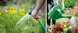 Planten tuin watergeven tips