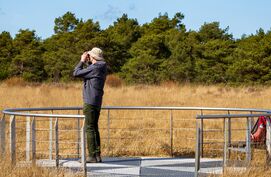 Vogelspotten in Nederland