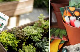 zaden houdbaarheid bewaren