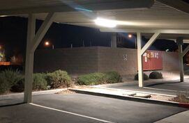 nooit-te-oud-voor-stout-seks-achterbank-2