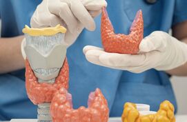 Schildklier werkt niet goed