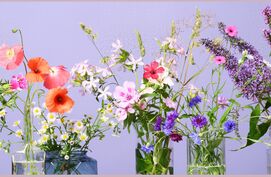 hebben bloemen echt bloemenvoeding nodig