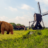 Heropleving van de mammoet dichterbij: wetenschappers zetten volgende stap