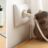Ongedierte bestrijden in de lente: 11 tips om gespuis in huis slim te weren