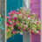 Welke planten zijn uitermate geschikt voor een hanging basket? En per jaargetijde?
