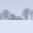 Typische Nederlandse winter verdwijnt als sneeuw voor de zon