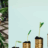 duurste planten