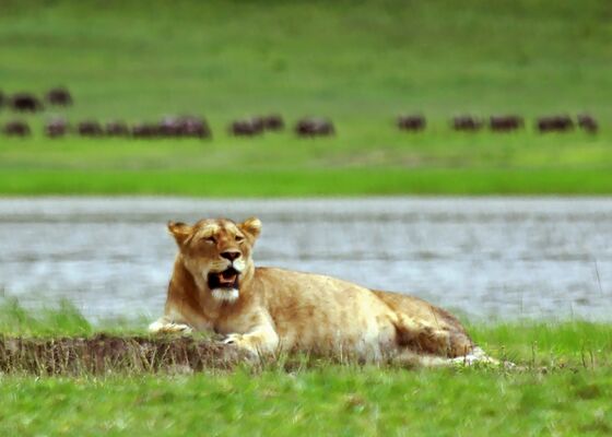 Actieve reizen op je bucketlist