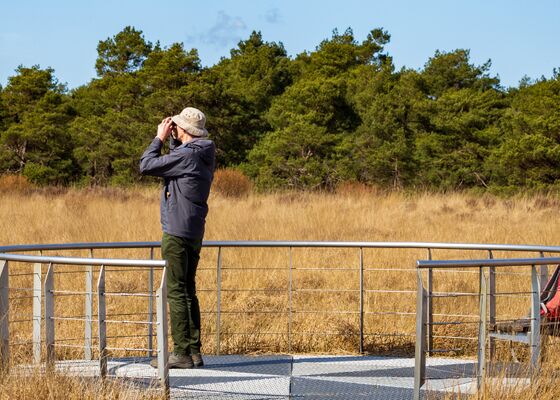 Vogelspotten in Nederland
