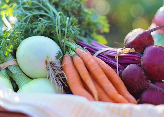 seizoensgroenten augustus