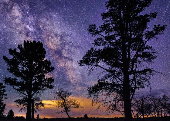 Vallende sterren: Meteorenzwermen