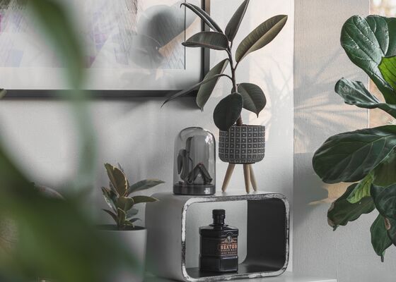 Planten trends najaar 2025