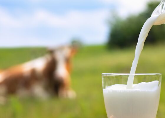 Melk gezond of ongezond, sloopmelk