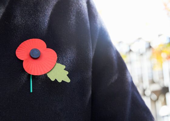 Klaproos, The Red Poppy symbool remembrance day