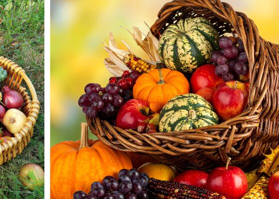 seizoensgroenten november